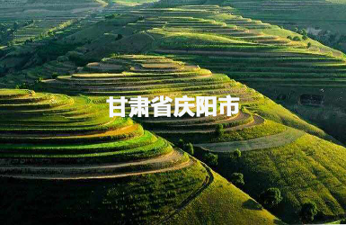 慶陽(yáng)市人大常委會(huì)履職平臺(tái)