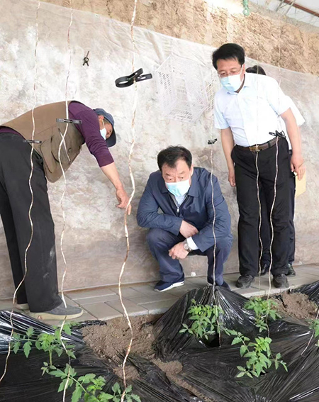 劉奇到察右前旗調(diào)研定點幫扶工作