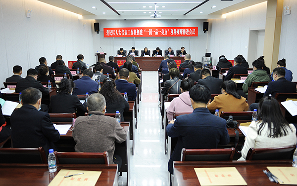 愛民區(qū)人大：“一團一品一亮點” 代表履職上臺階