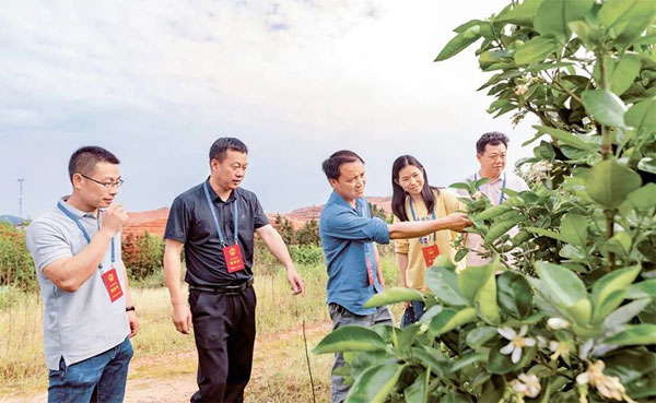 發(fā)展全過程人民民主　保障人民當(dāng)家作主