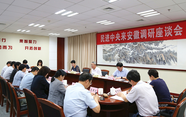 蔡達峰在安徽開展主題教育和主題年工作調(diào)研