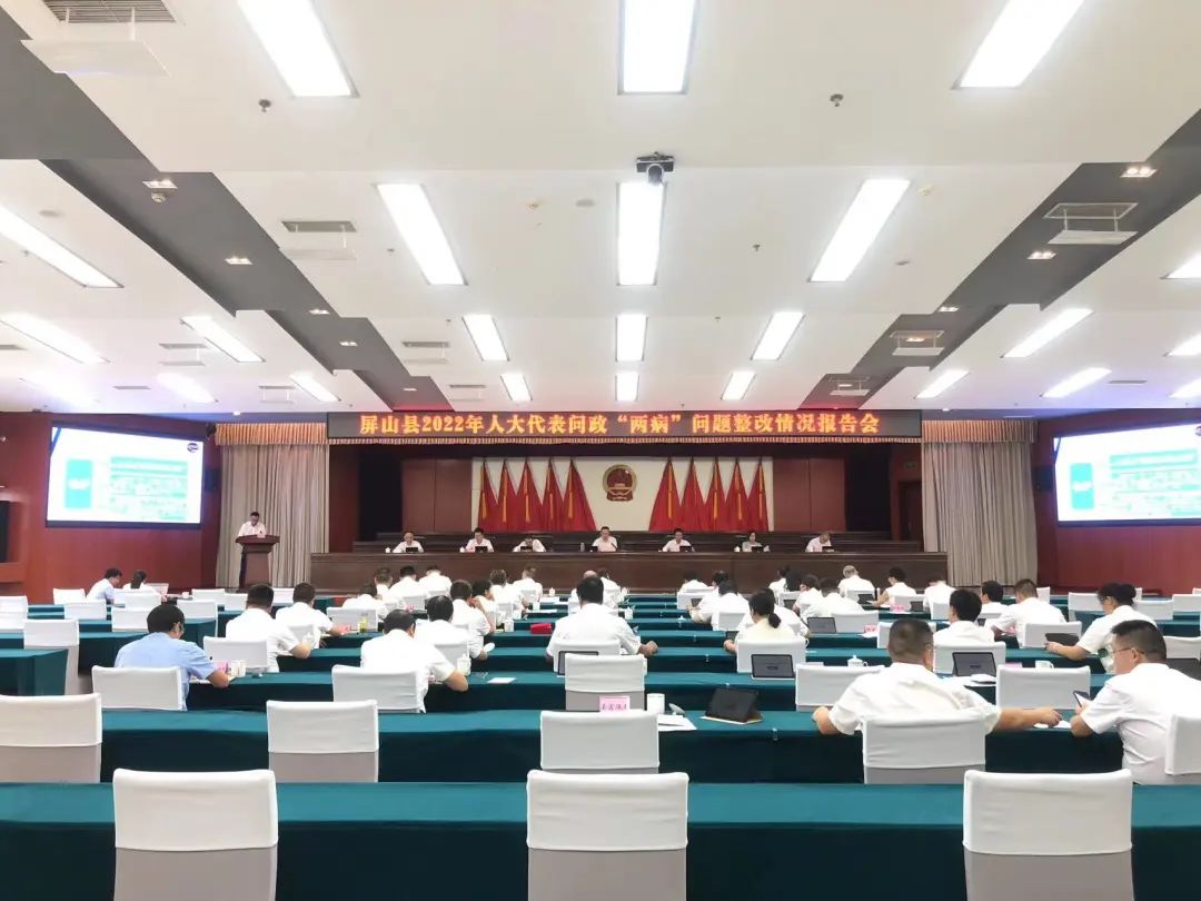 四川屏山縣人大常委會：問政“兩病” 喜得回聲響
