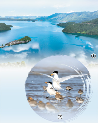 區(qū)域協(xié)同立法 共護(hù)綠水青山