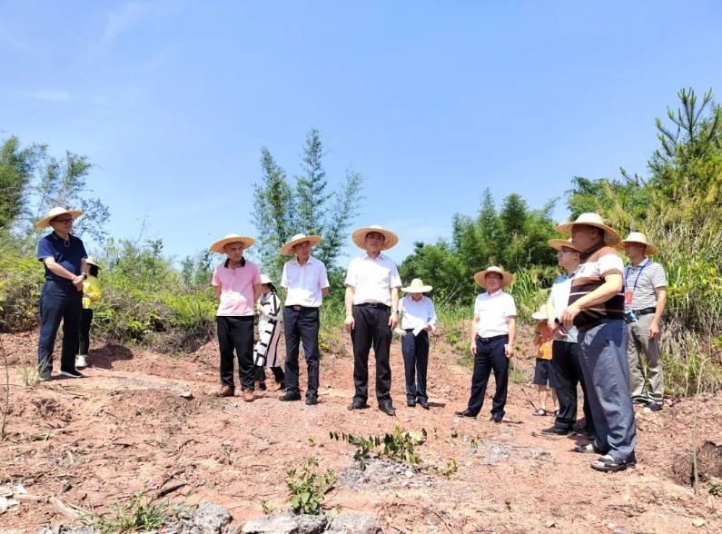 韶關(guān)：向“山”履職 綠美為卷