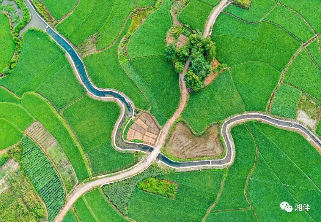 湖南出臺(tái)這份決定，解決田間地頭 “中梗阻”