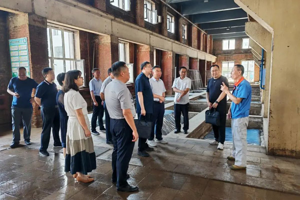 全國人大代表黑龍江代表團第二代表小組到齊齊哈爾市開展專題調(diào)研