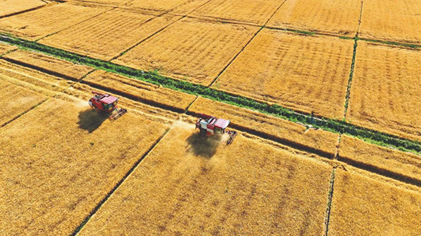 筑牢糧食安全法治基石