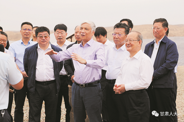 丁仲禮：以更有力措施推動(dòng)可再生能源發(fā)展取得更大成效