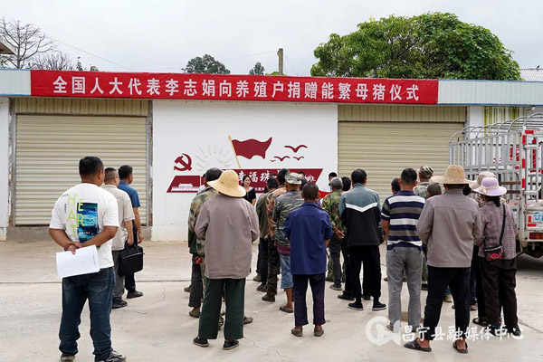 群眾有需要 代表見行動