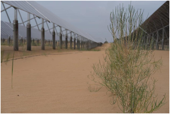  全面推進美麗中國建設