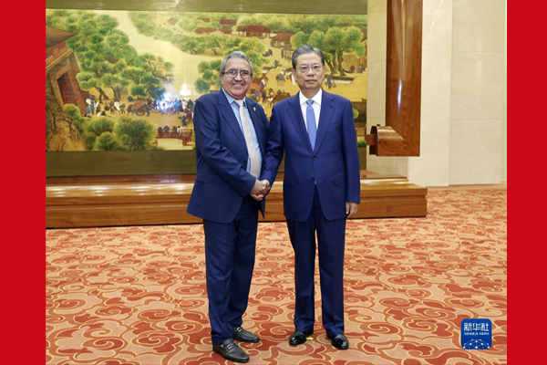  趙樂際同中美洲議會議長塞魯?shù)屡e行會談