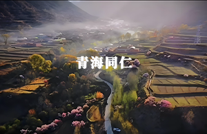 同仁市智慧人大平臺(tái)